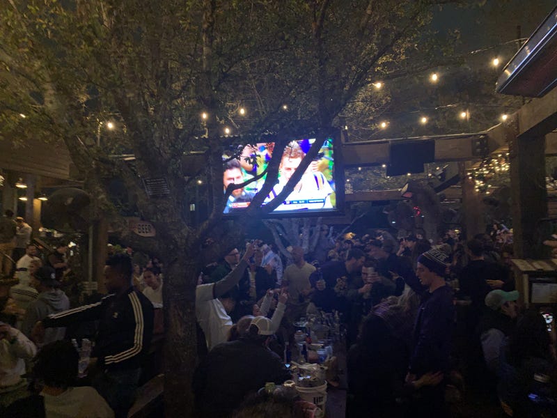 LSU crowd watching game