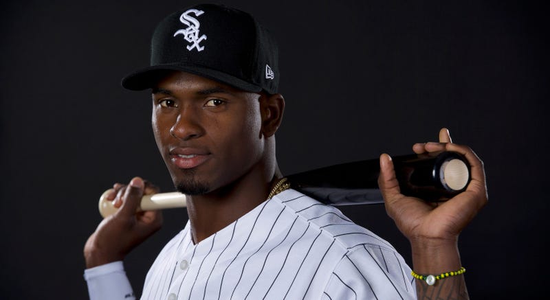 White Sox outfielder prospect Luis Robert