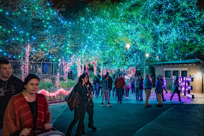 Luminature at the Philadelphia Zoo