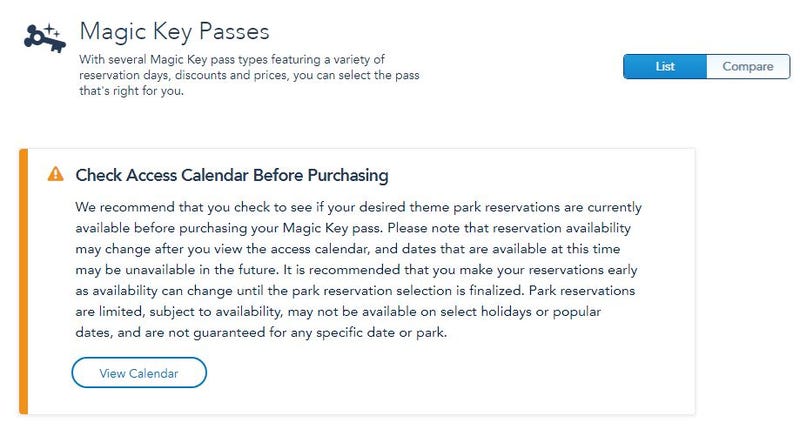 Disneyland Magic Key