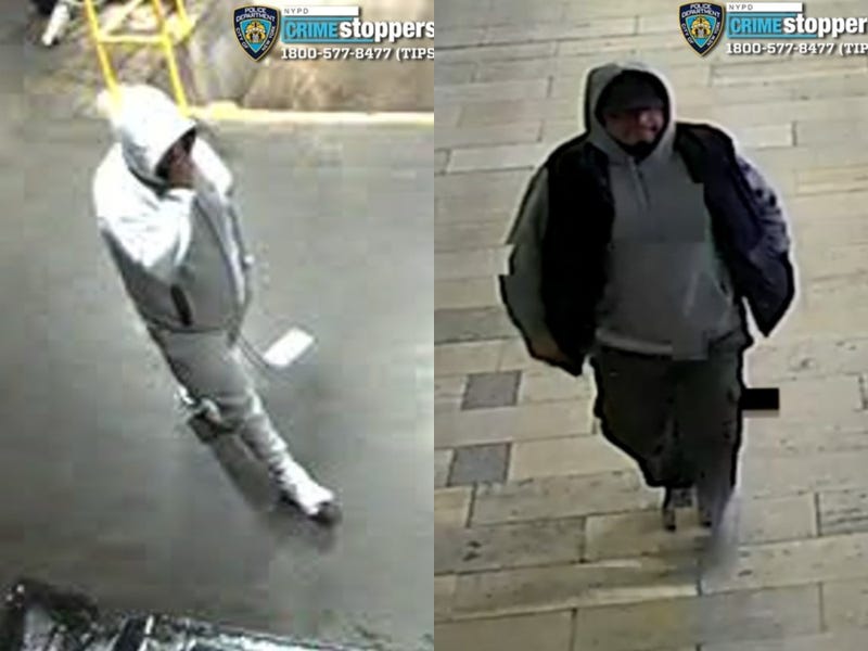 Two men are wanted for stealing over $22,000 worth of Apple products from a delivery truck at the Staten Island Mall earlier this month.
