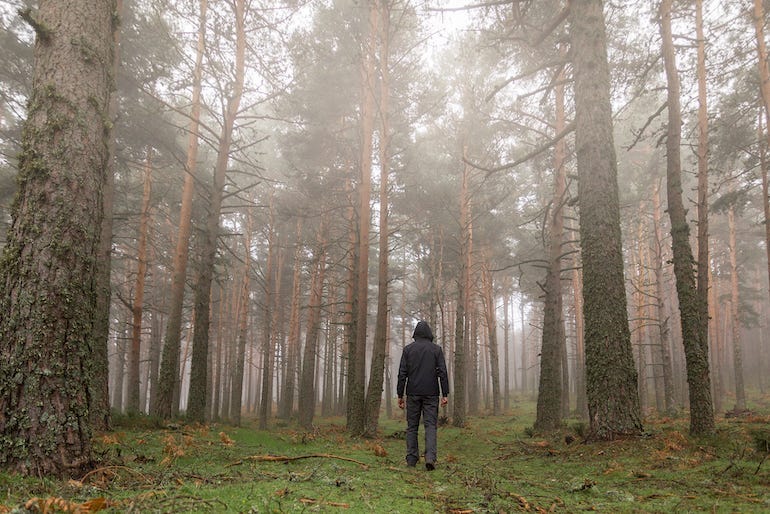 man in woods