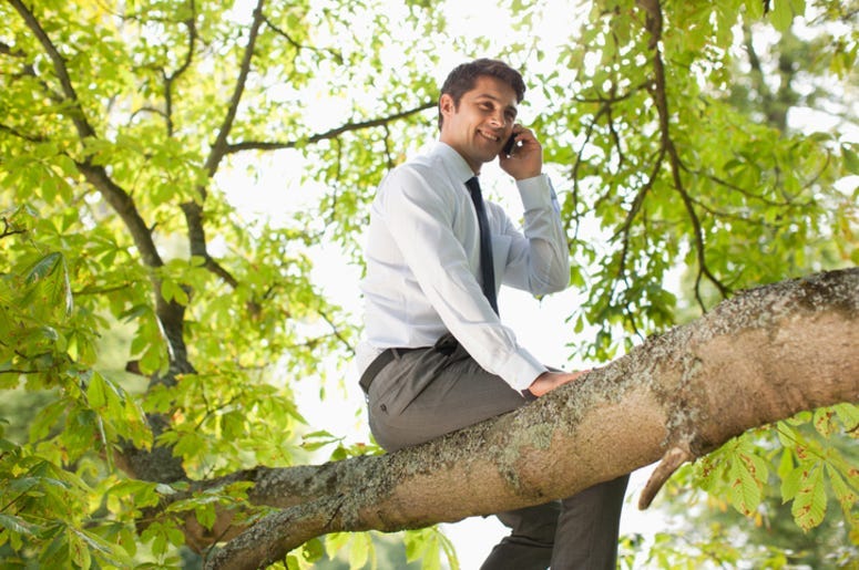 Man_In_Tree