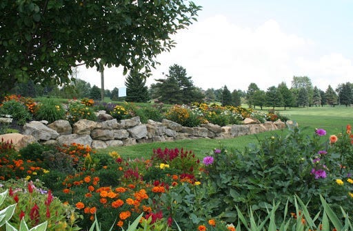 Manor Valley GC picture