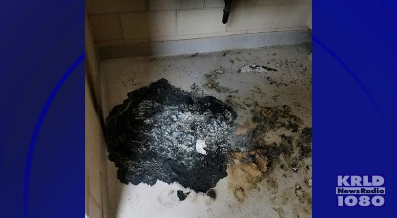 Clayton W. Chandler Park Vandalism