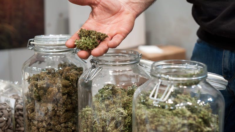 Senecas to open cannabis dispensary