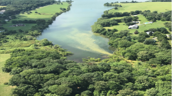 Mariner East 2 developer charged in connection to Marsh Creek contamination