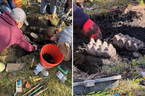 In addition to the jaw, toe and rib fragments were also discovered during the excavation in Scotchdale.