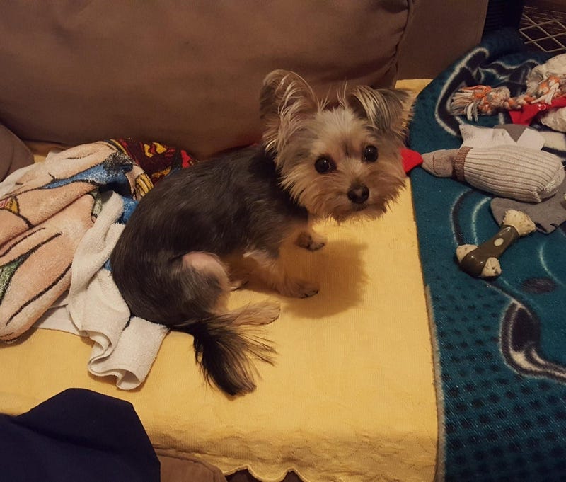 Photo: Susan Richard