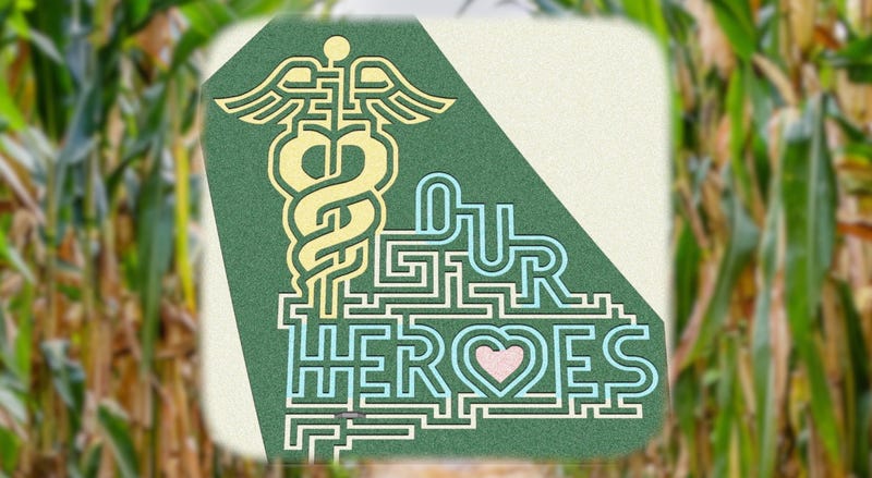 corn maze design