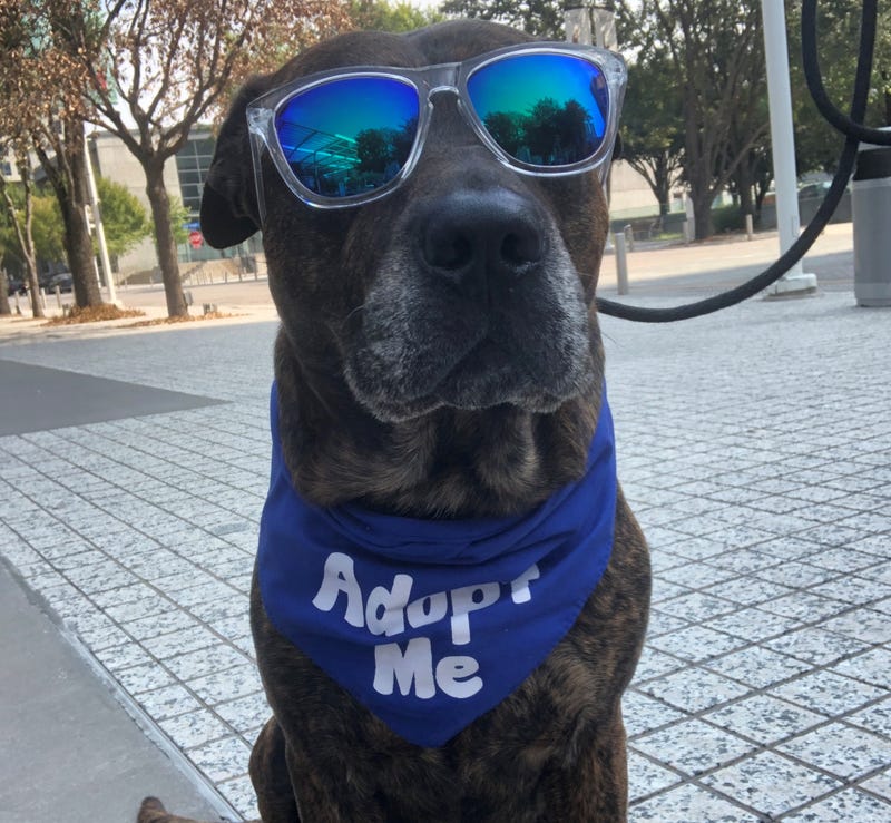 Meatball #A1155336