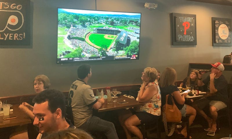 Fans watch the Little League World Series game