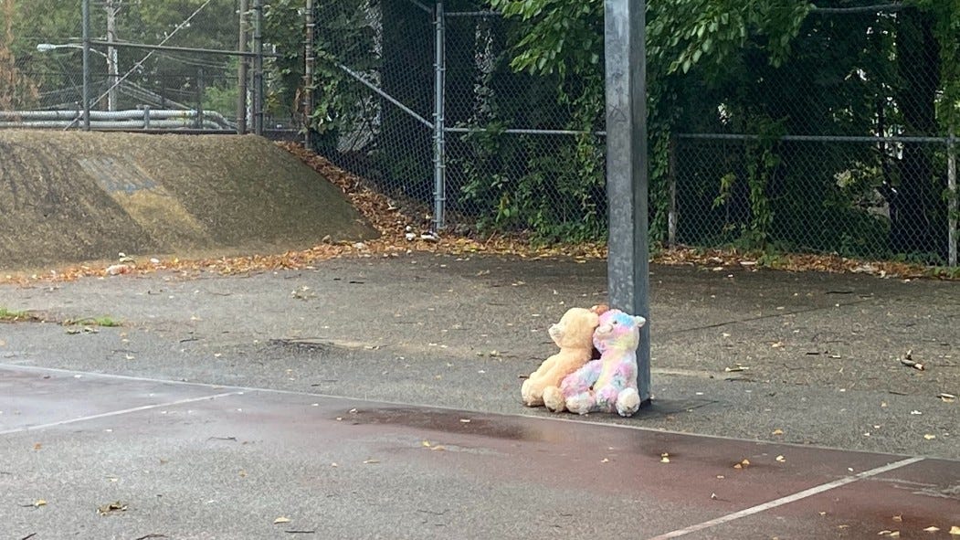 15-year-old girl shot down at Tioga playground has died, say police