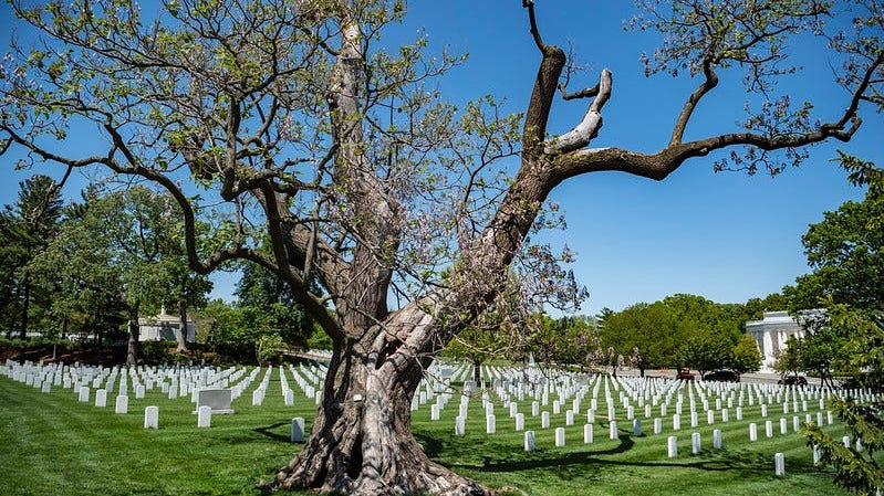 Memorial Day at National Cemeteries Will Look Different This Year