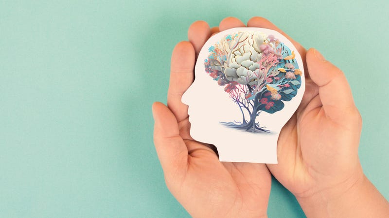 Hands holding paper head, human brain with flowers, self care and mental health concept, positive thinking, creative mind - stock photo