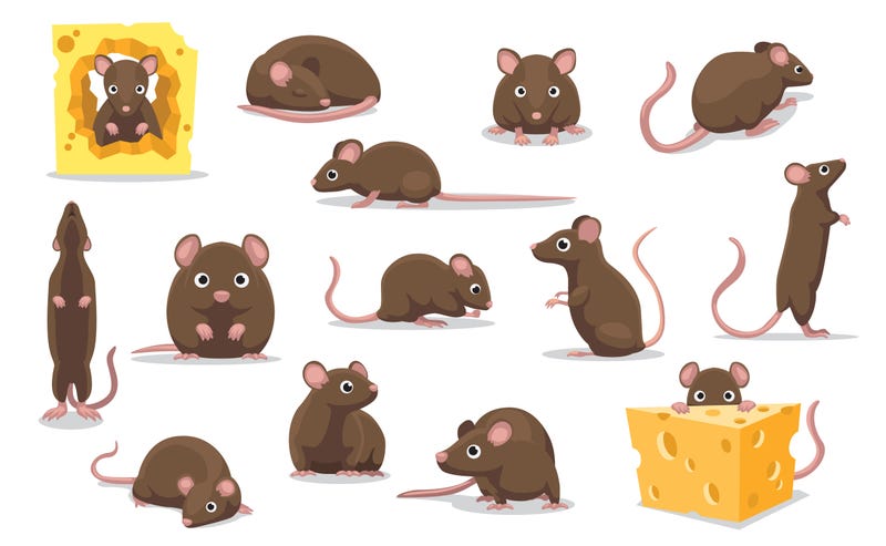 Kennedys Moral Mouse Dilemma
