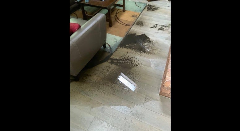 A Michigan City homeowner says the damage caused by a city crew cleaning out the sewer lines outside her home is “devastating,” and will cost tens of thousands of dollars for repairs and lost rental income. 