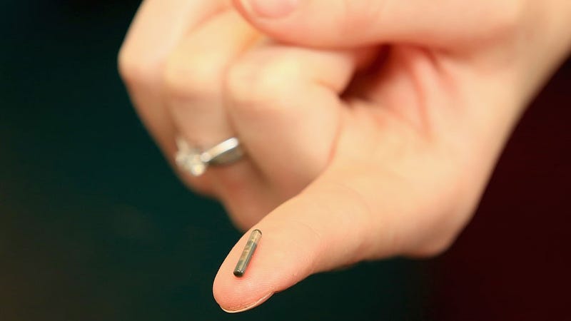 A veterinary nurse holds a dog micro-chip at the PDSA hospital on April 4, 2016 in Wolverhampton, England. From 6th April 2016 it will become law, in the UK, that all dogs should be microchipped and recorded in the National Canine Database. 