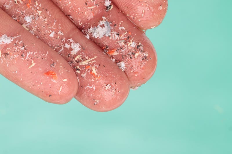 microplastics on a person's fingertips