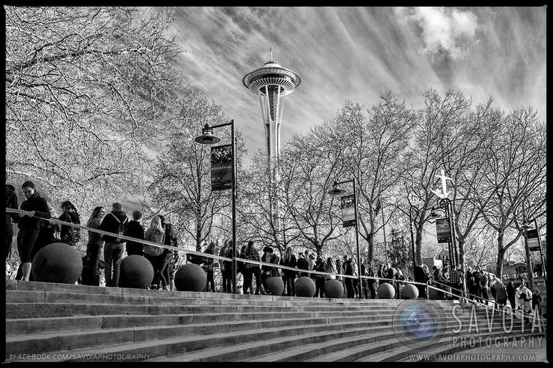 Mike Savoia Key Arena