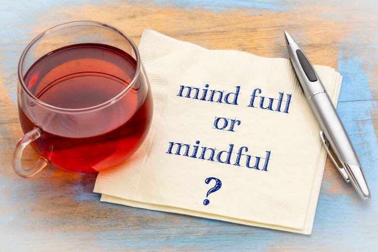 MInd Full Mindfulness 