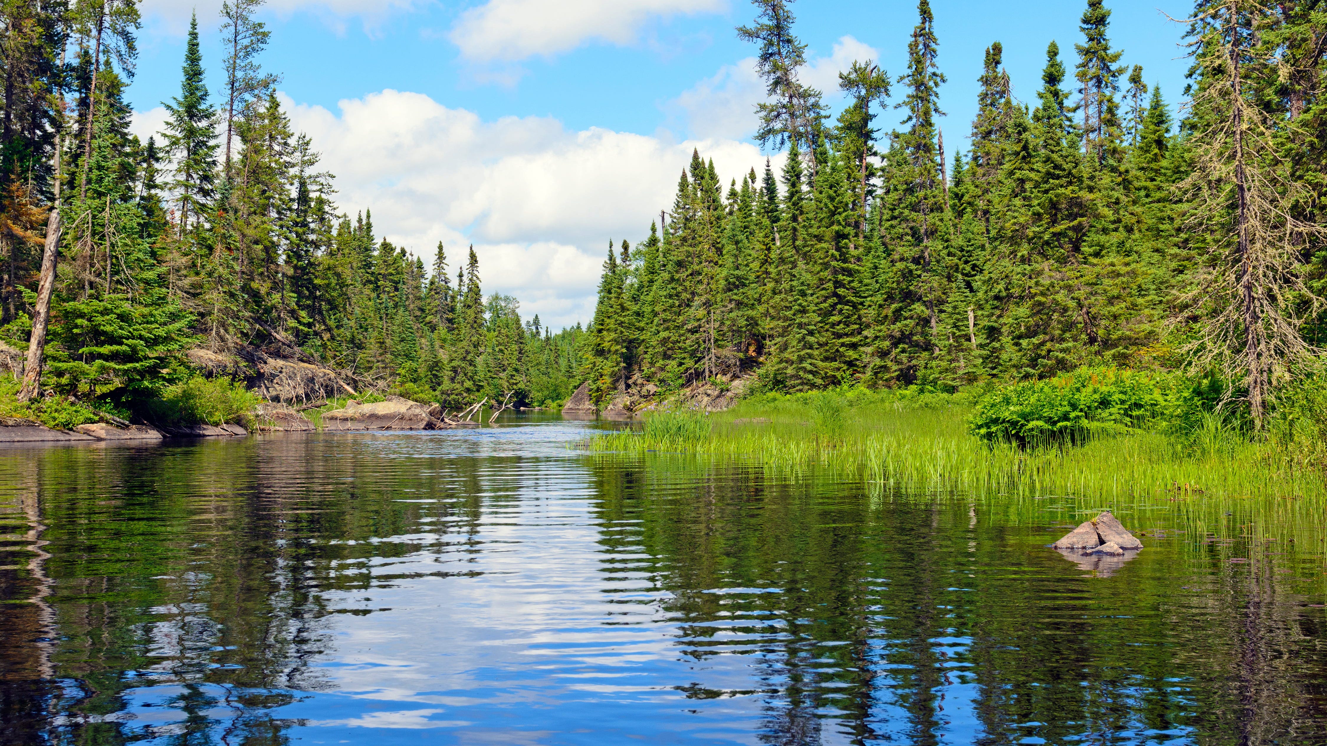 Trump aims to remove waterway protections, aiding developers