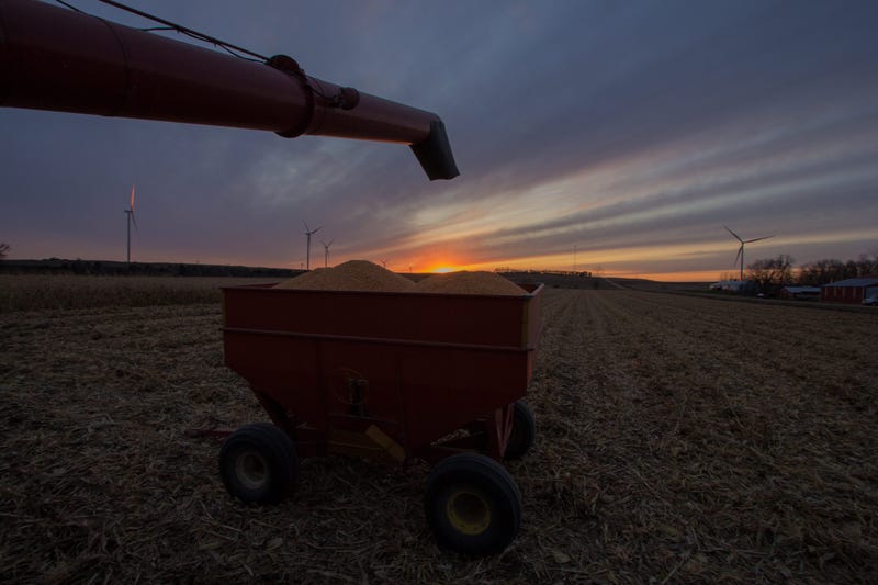 Minnesota Farm