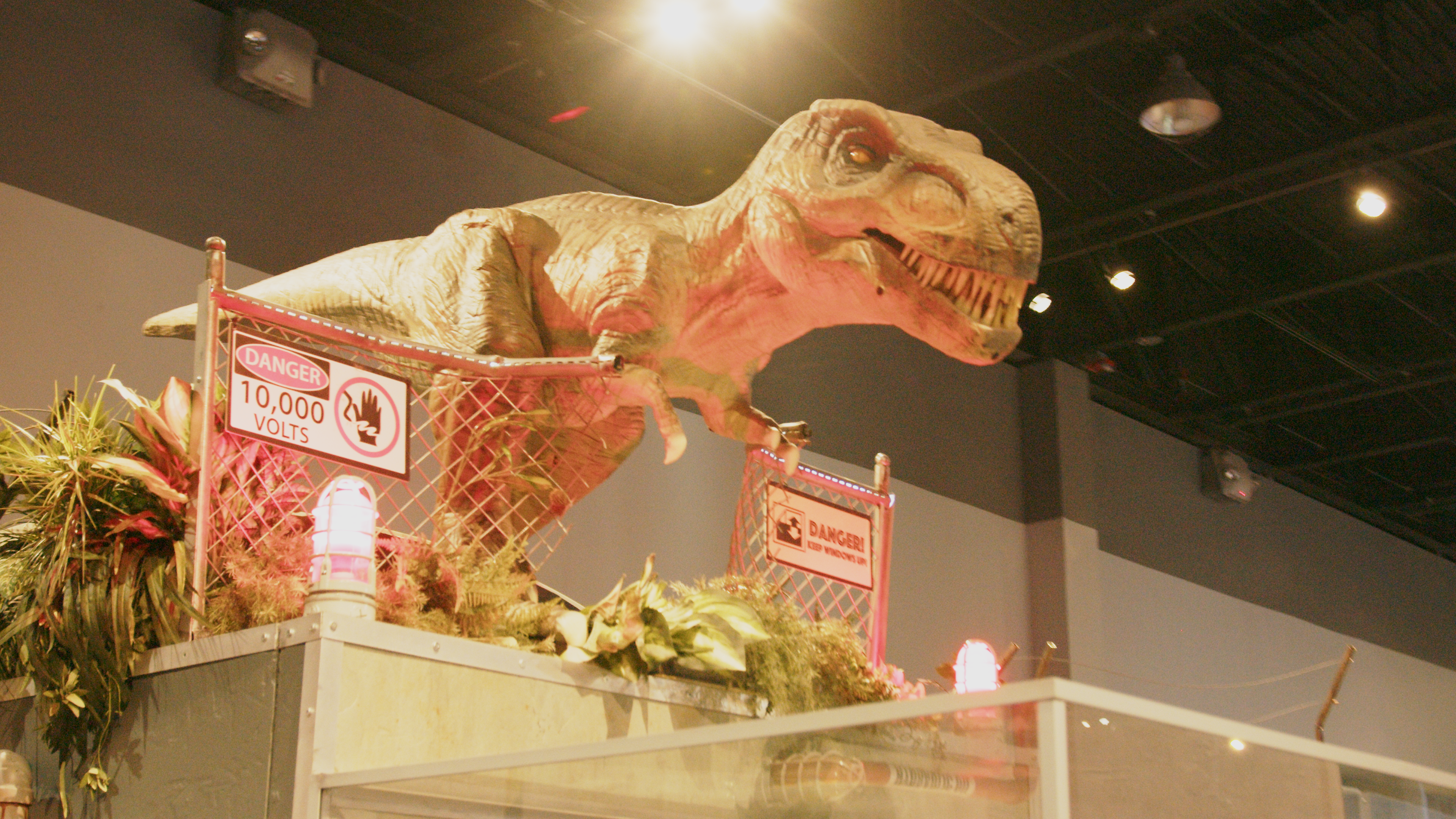 'Didn't they watch the movie!?' — What can pop culture teach us about science?