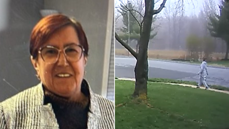 Missing woman Danyila Nykytyn