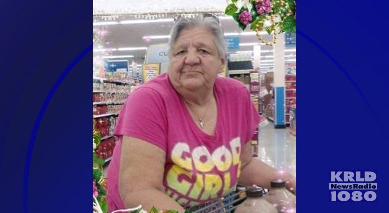 Critical Missing – Joye Steele