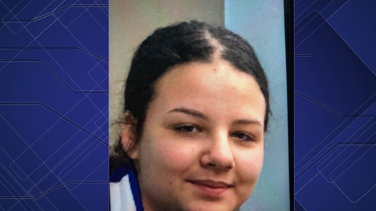 Sterling Heights police searching for 13 year-old endangered runaway