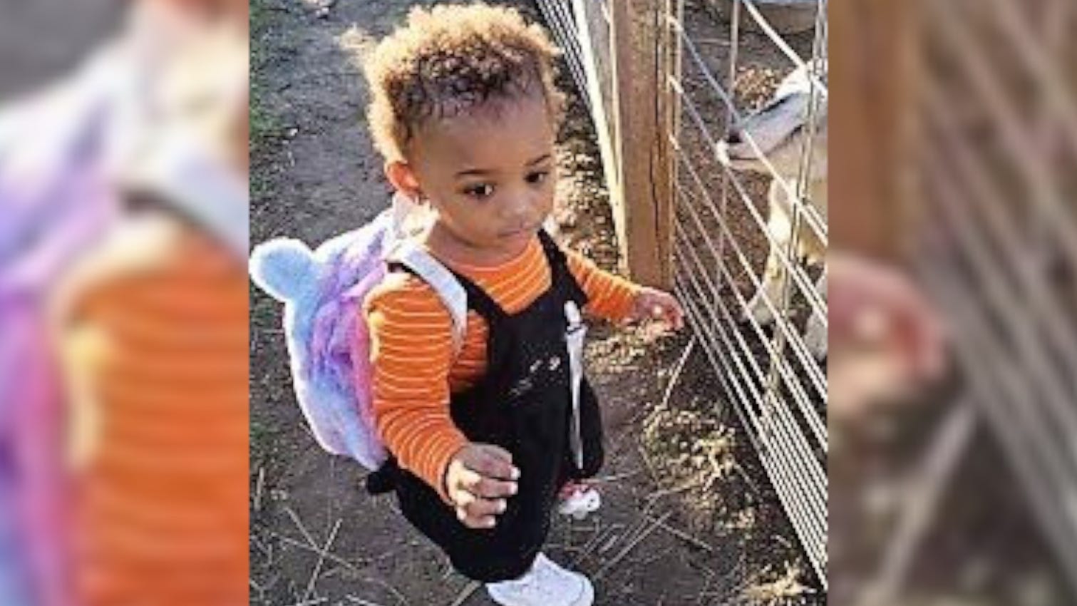 Missing Illinois 1-year-old found dead in pond; person of interest arrested