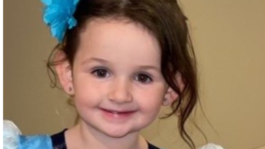 Authorities searching for endangered missing 4-year-old girl in Metro Detroit area, requests help from public