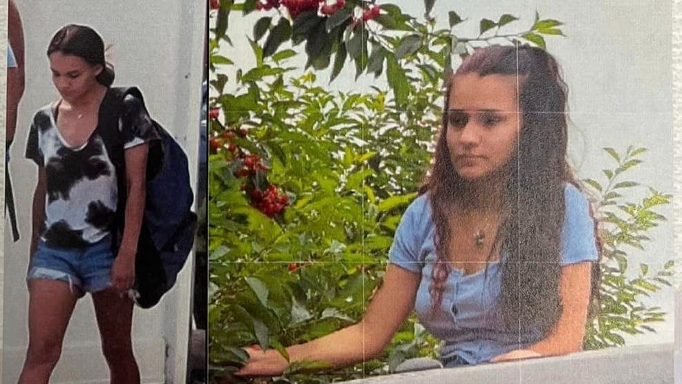 Police searching for missing Riverview teen, last seen leaving Southgate McDonald's in dark-colored Ford Fusion