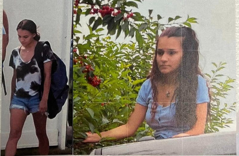 missing Riverview teen