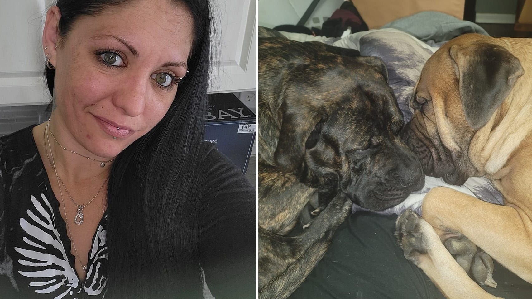 Windsor Police seek tips in case of missing woman who may be with two large dogs