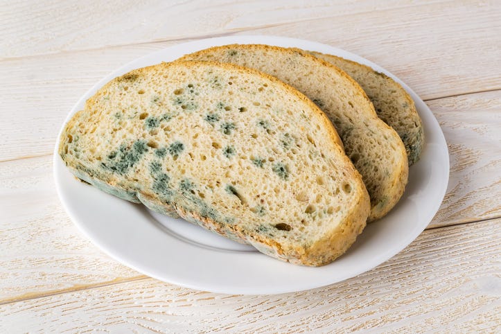 Soldiers are being served moldy bread