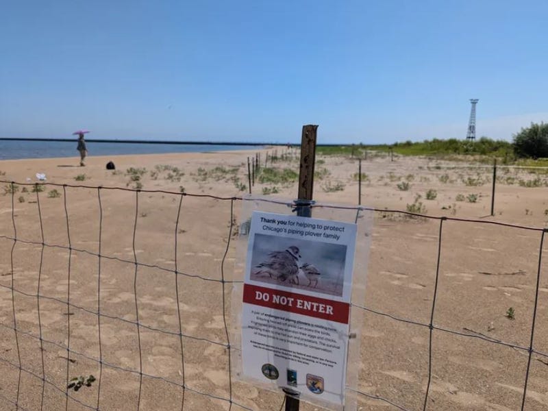 Montrose Beach