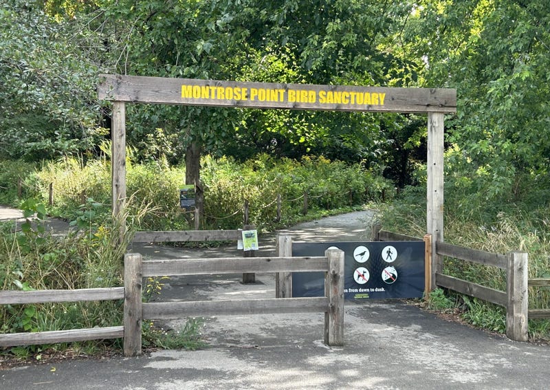 Montrose Point entrance and pathway