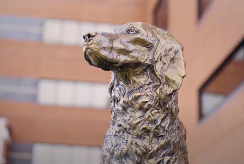 The statue of the first therapy dog, "Monty." He can be found in Kaminski Park & Gardens.