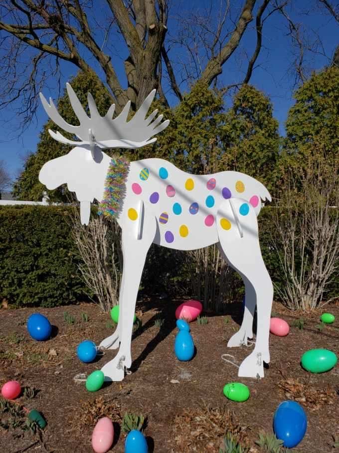 "Moose of Midland" decorated for Easter