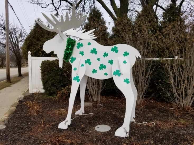 "Moose of Midland" decorated for St. Patrick's Day