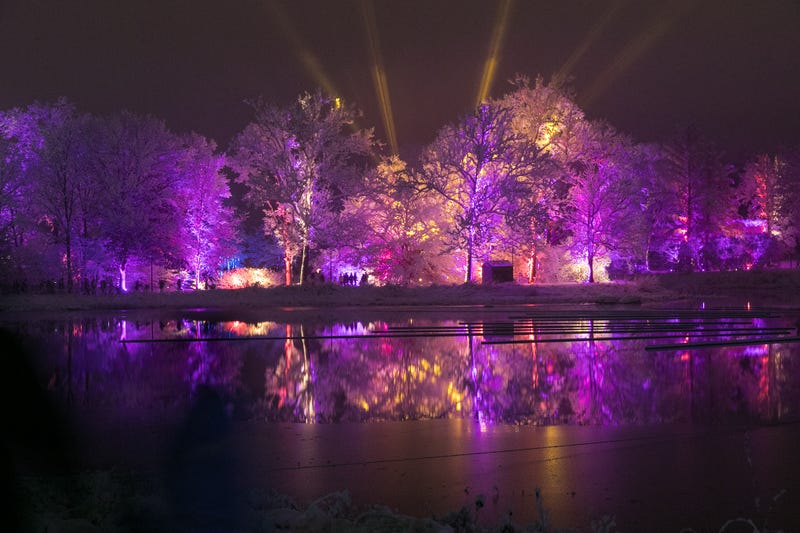 Illumination: Tree of Lights at The Morton Arboretum