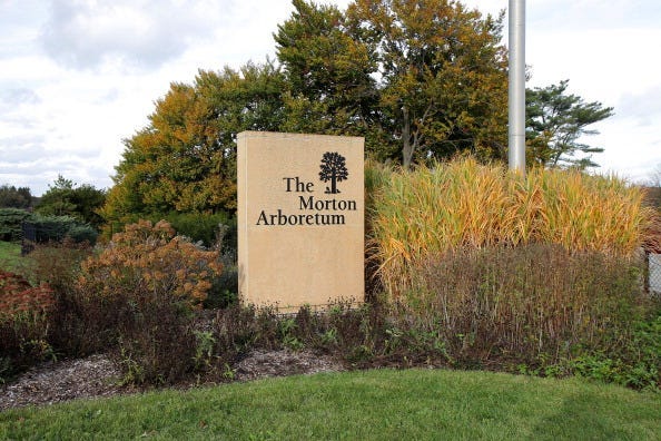 Morton Arboretum, Chicago, Local, Light Show, Holiday, Tradition 