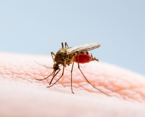 west nile virus