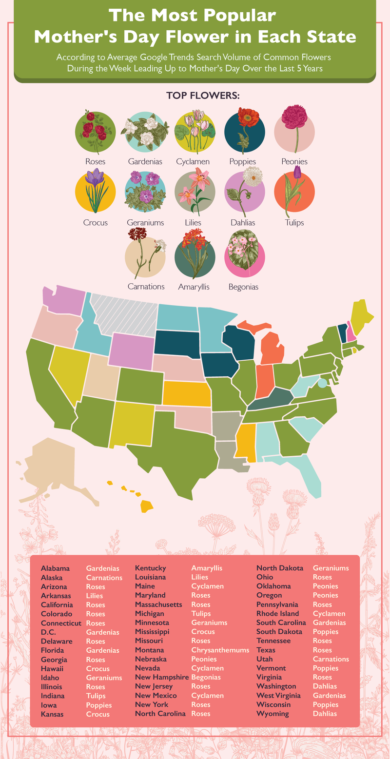 The Most Popular Mother's Day Flower in Each State
