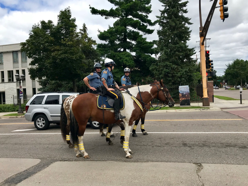 Saint Paul police horses