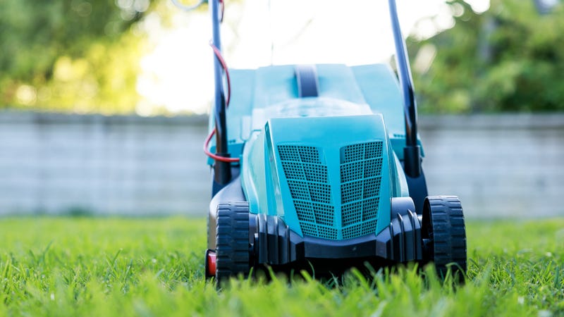 Lawn mower on green grass in back yard