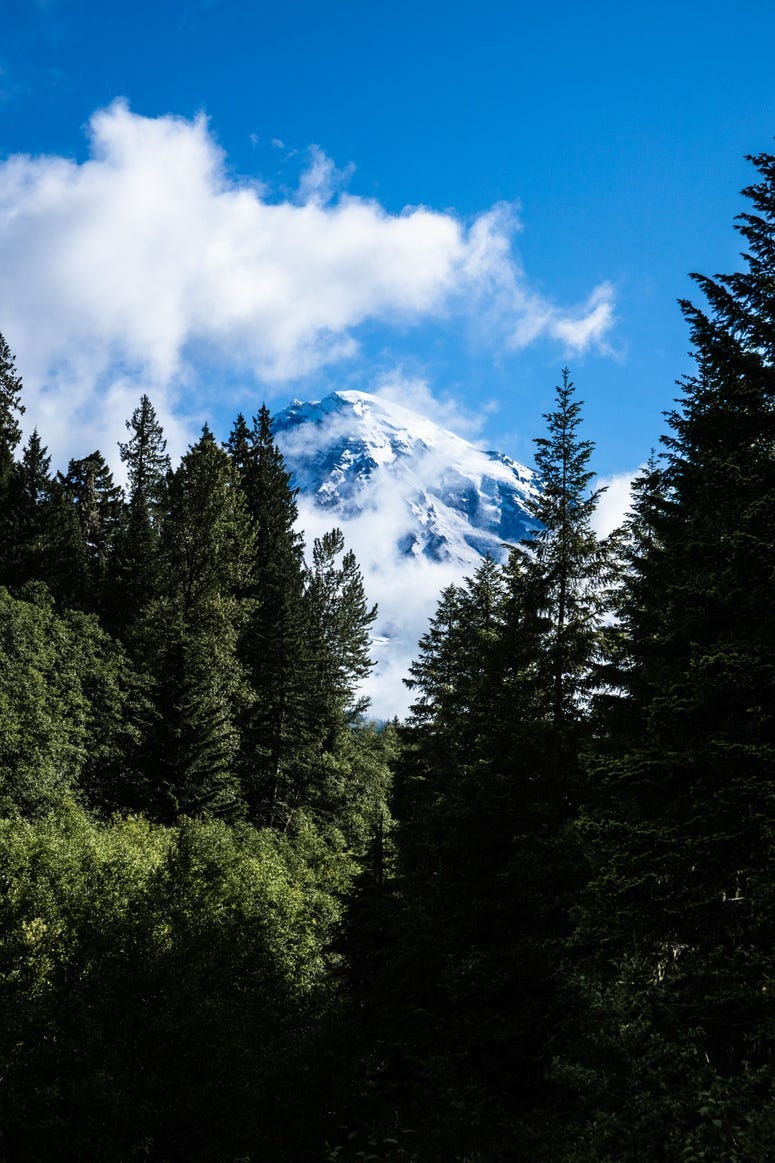 Mt Rainier