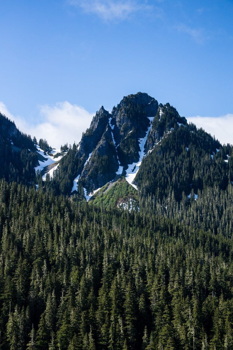Paradise, WA